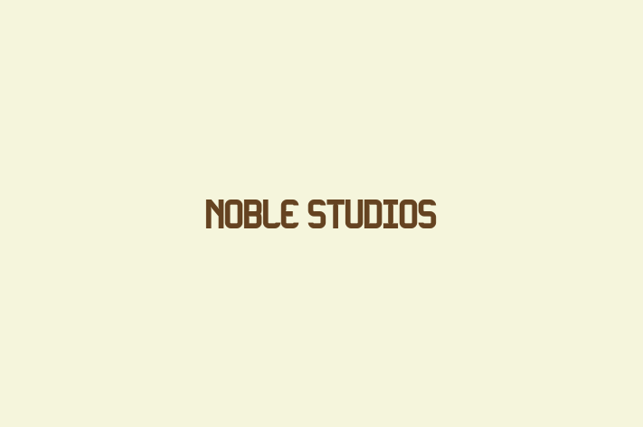 Application Development Company Noble Studios