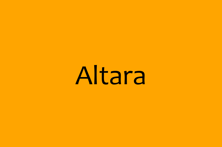 Software Engineering Company Altara