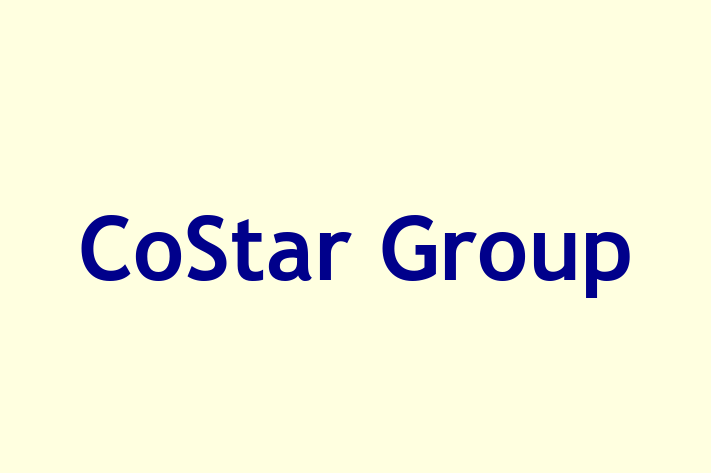 Software Consultancy CoStar Group