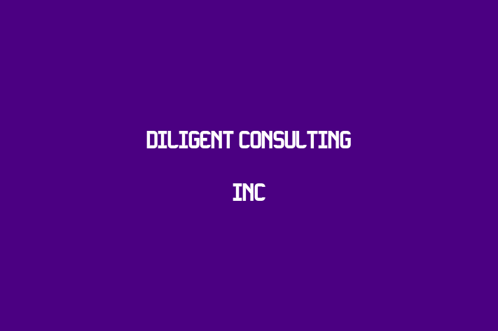 Software Services Company Diligent Consulting Inc