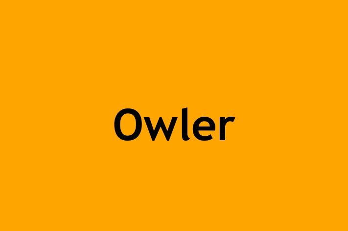 IT Company Owler