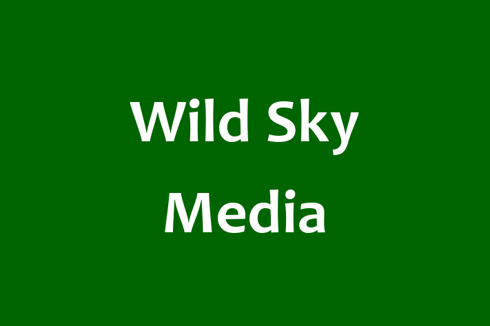 Human Capital Management Wild Sky Media