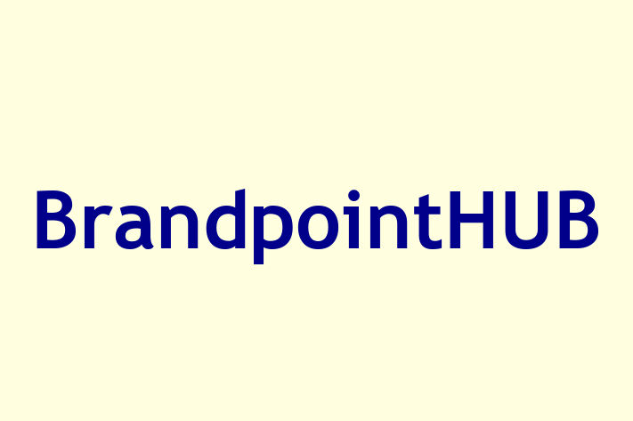 Technology Company BrandpointHUB