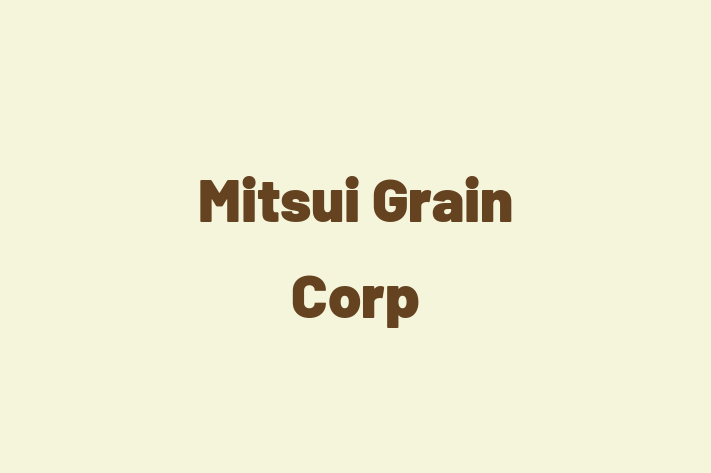 Software Services Company Mitsui Grain Corp