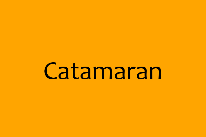 Technology Company Catamaran