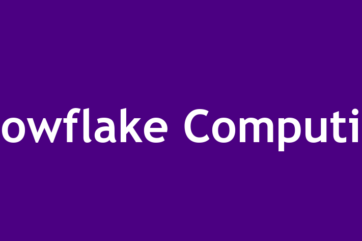 Software Firm Snowflake Computing