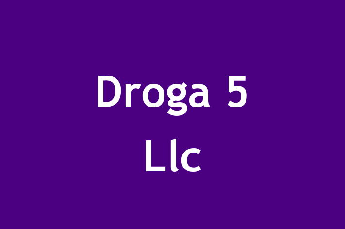 Software House Droga 5 Llc