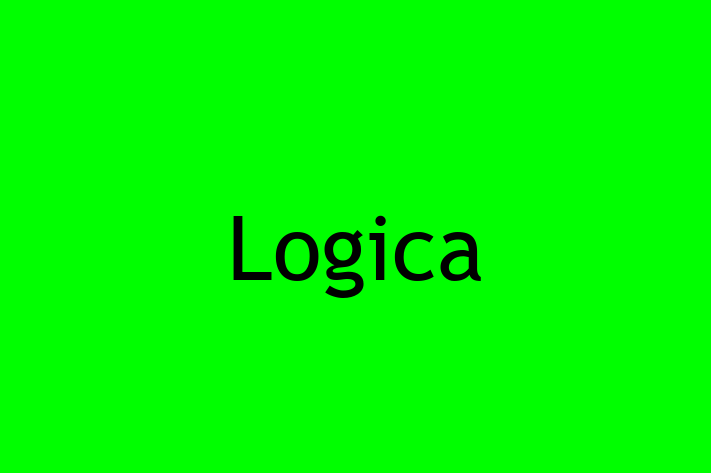 Software Engineering Company Logica