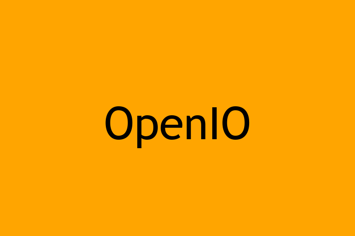 Technology Solutions Firm OpenIO