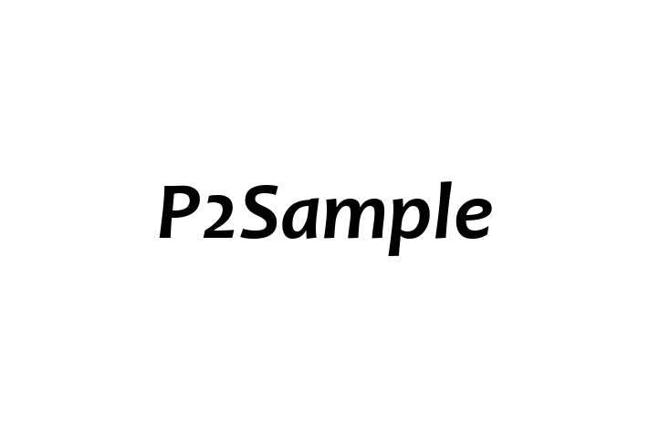 Software Consultancy P2Sample