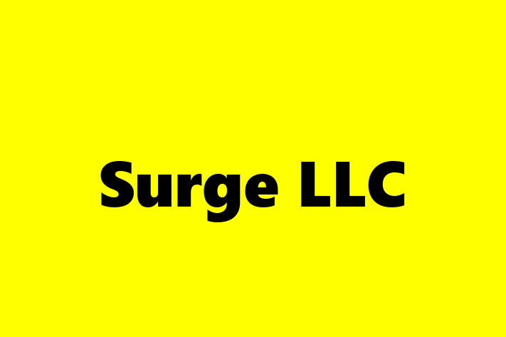 Digital Solutions Provider Surge LLC