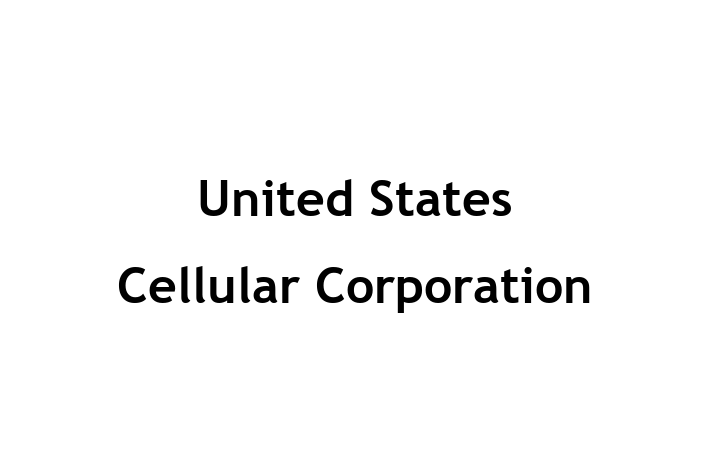 Technology Solutions Firm United States Cellular Corporation