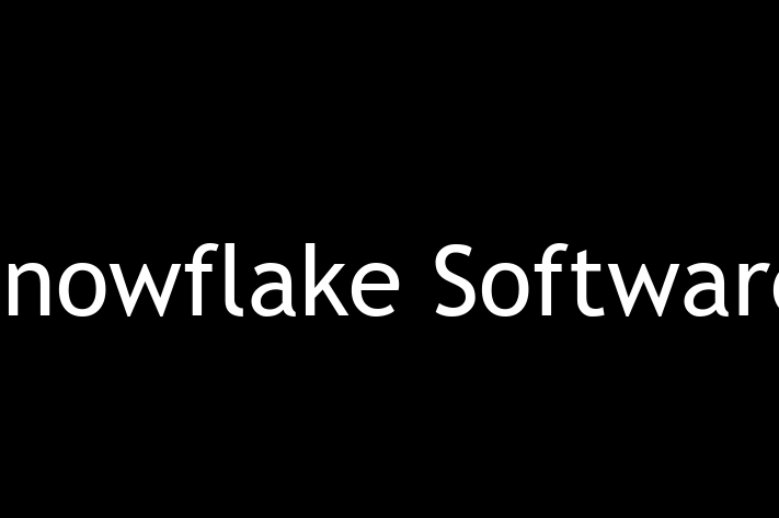 Technology Solutions Firm Snowflake Software