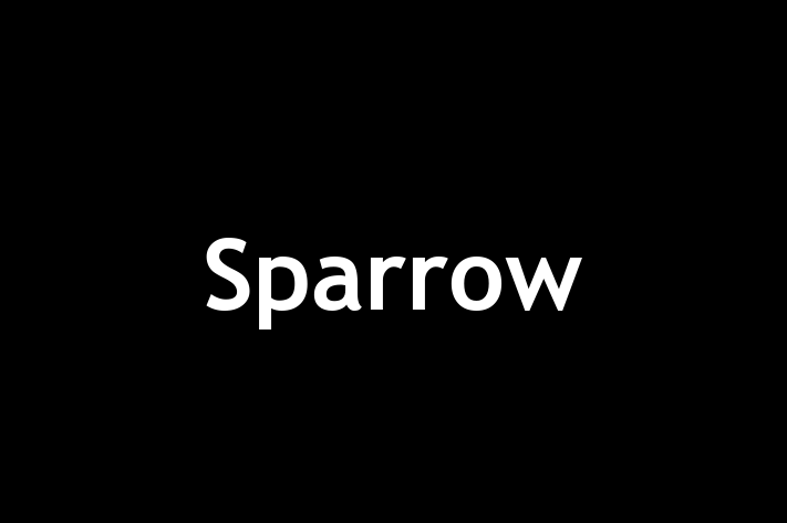 People Management Sparrow