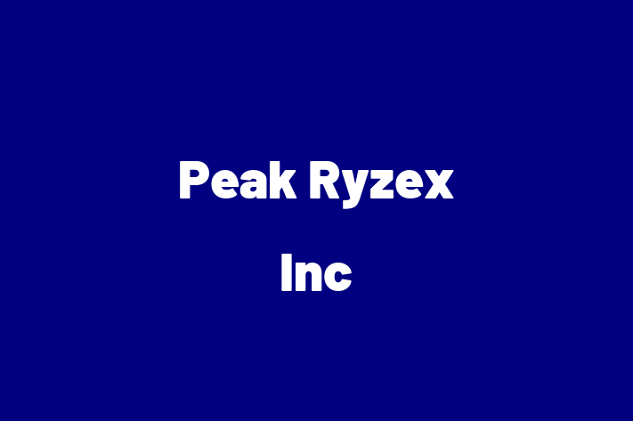 Software Development Firm Peak Ryzex Inc