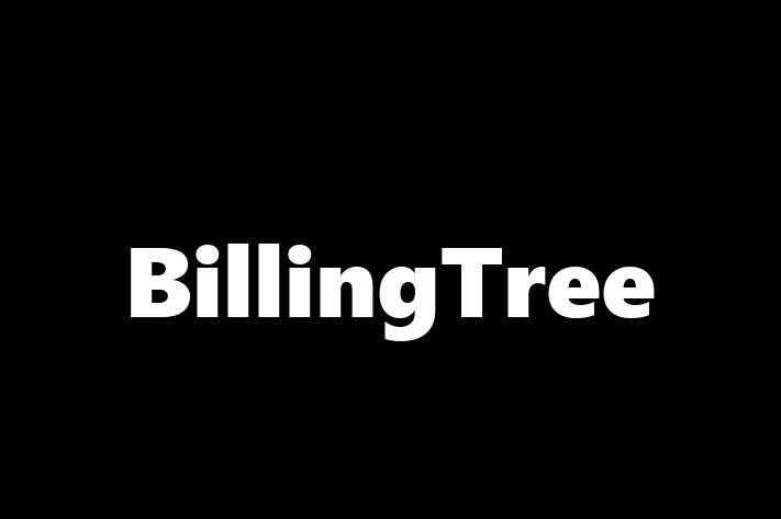 Application Development Company BillingTree