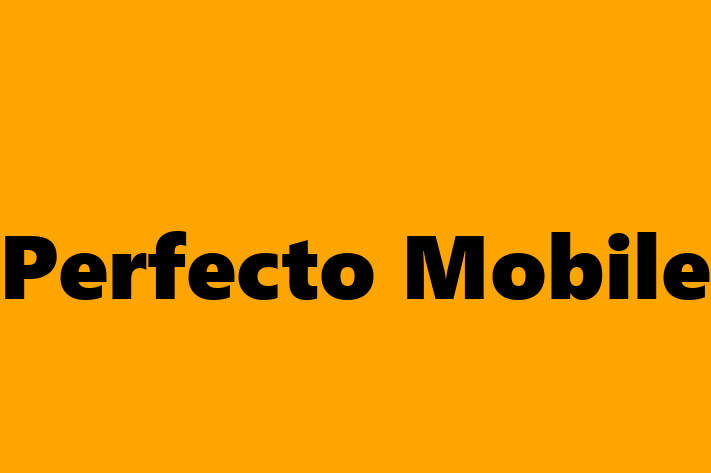 Software Engineering Company Perfecto Mobile