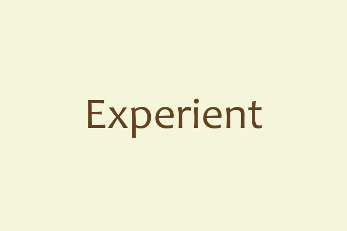 IT Company Experient