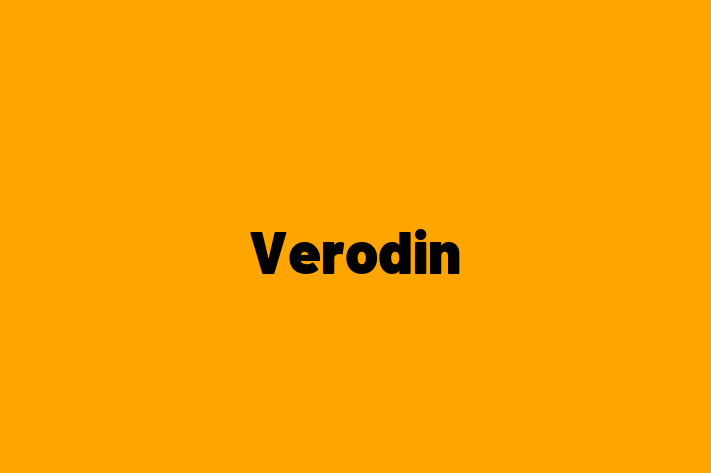 Software Services Company Verodin