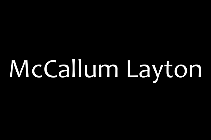 Software Services Company McCallum Layton