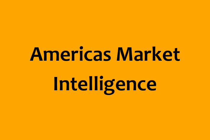 Digital Solutions Provider Americas Market Intelligence