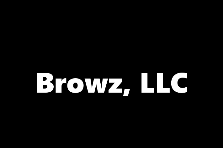 Application Development Company Browz LLC