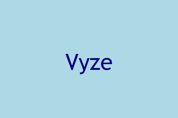 Software Engineering Company Vyze