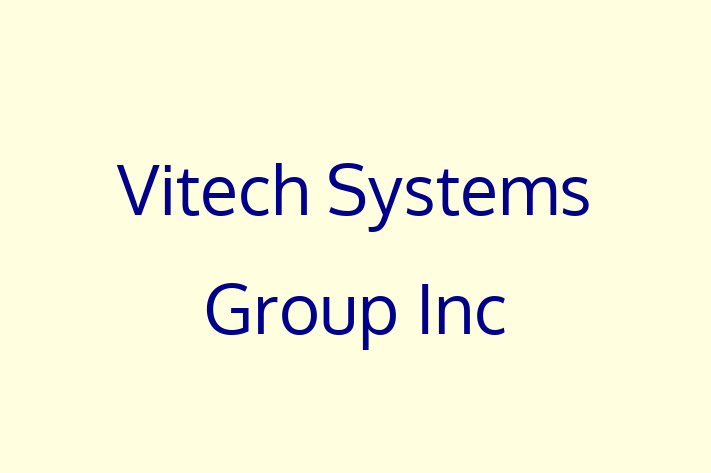 IT Company Vitech Systems Group Inc