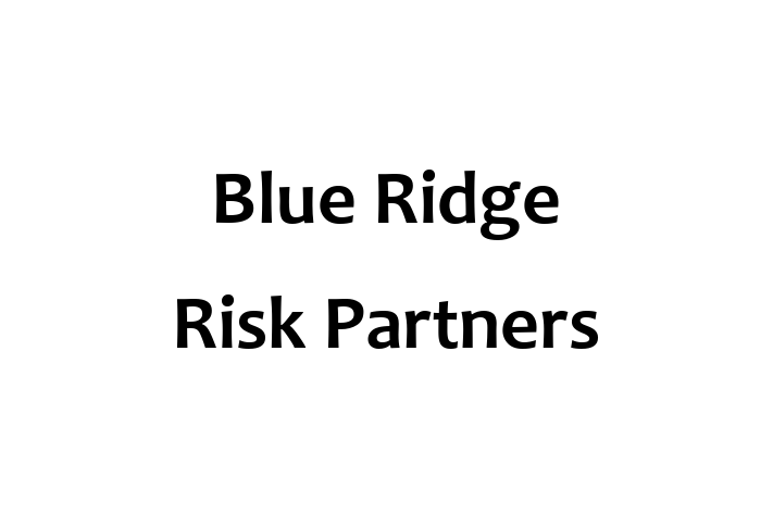 People Management Blue Ridge Risk Partners