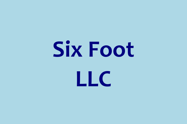 Software Development Company Six Foot LLC