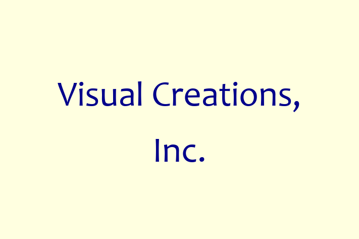 Software Solutions Provider Visual Creations Inc.