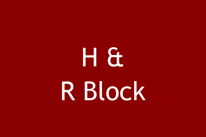 Financial Accountant H R Block