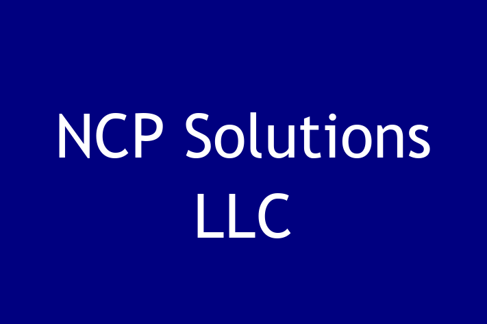 Software Consultancy NCP Solutions LLC