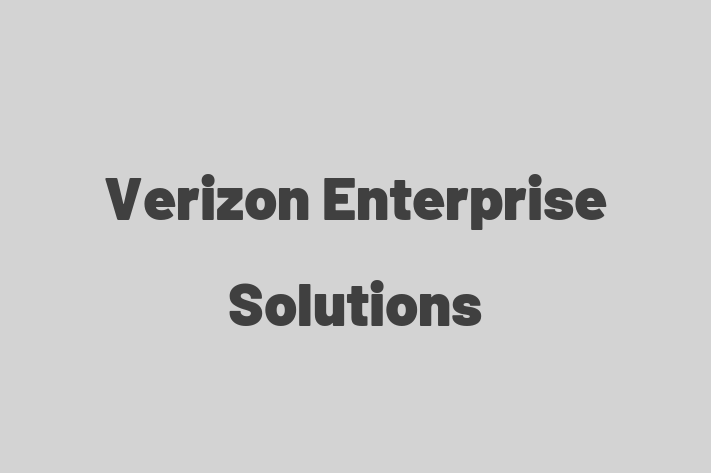 Technology Company Verizon Enterprise Solutions