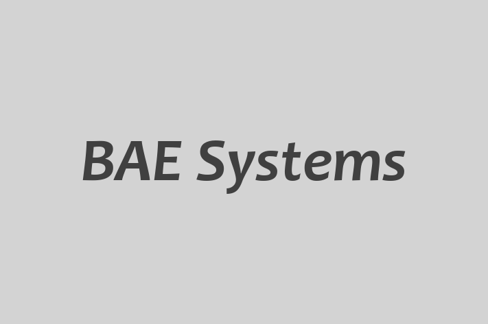 Workforce Management BAE Systems