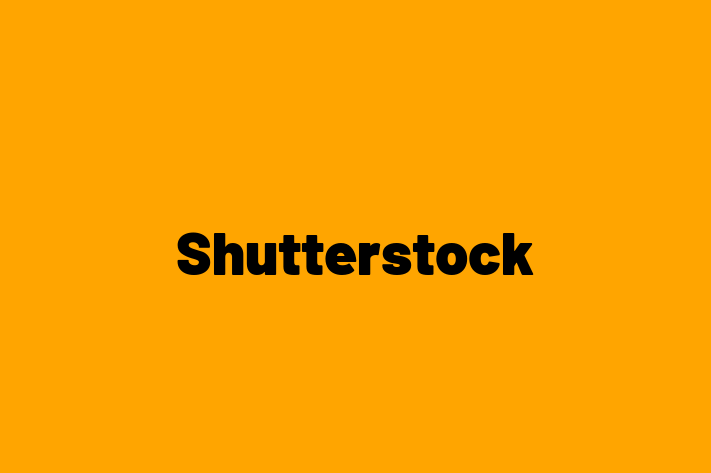 Software Development Company Shutterstock