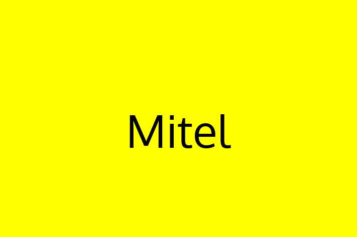 Software Engineering Company Mitel