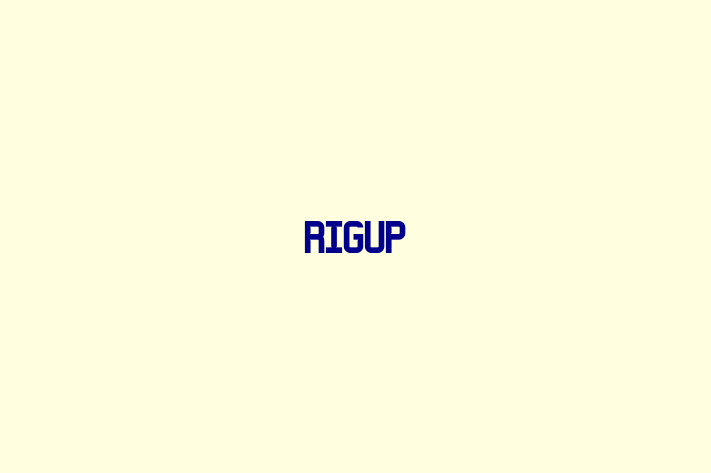 Software Consultancy RigUp