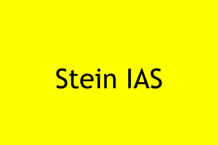 Software Consultancy Stein IAS