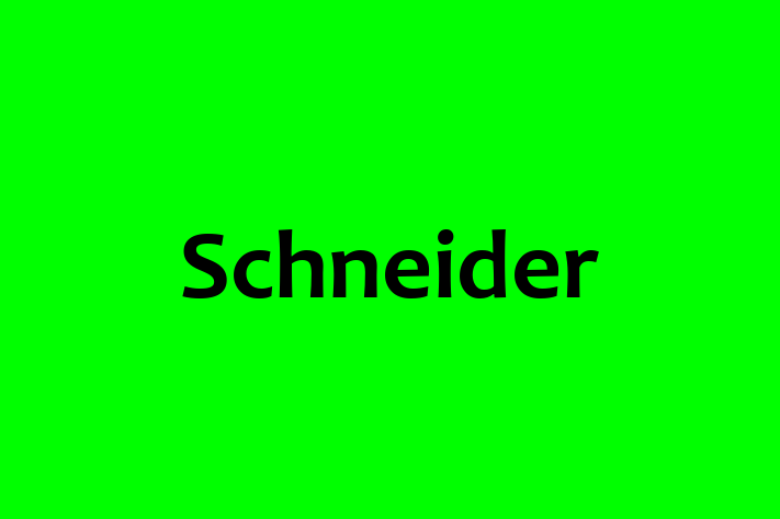 Human Capital Management Schneider