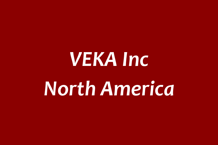 Talent Management VEKA Inc  North America