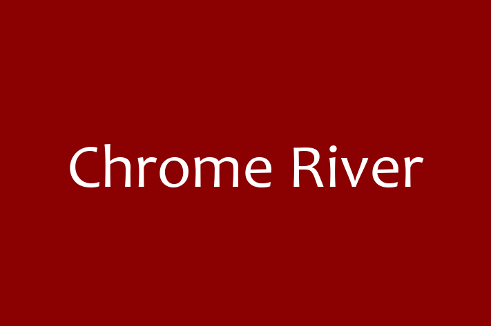 IT Company Chrome River