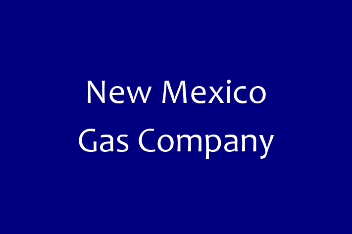 Software Development Firm New Mexico Gas Company