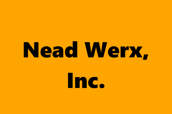 IT Company Nead Werx Inc.