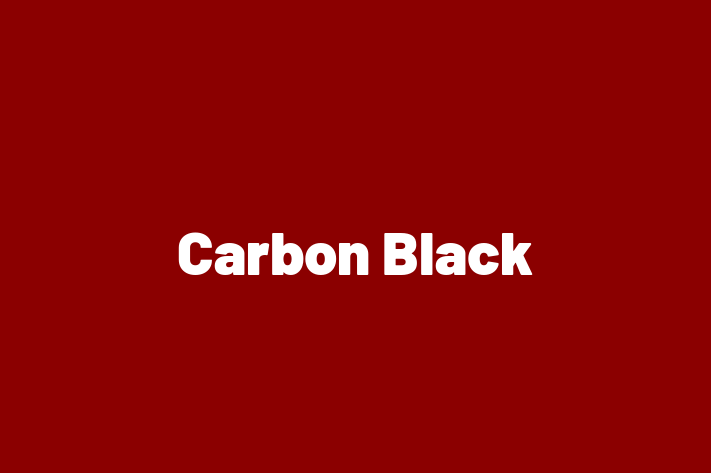 Technology Company Carbon Black