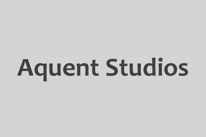 Software Consultancy Aquent Studios