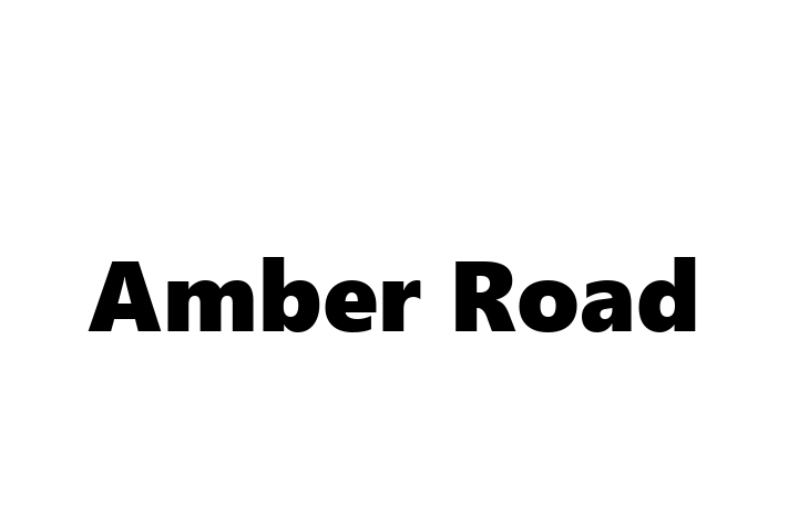 Tech Firm Amber Road