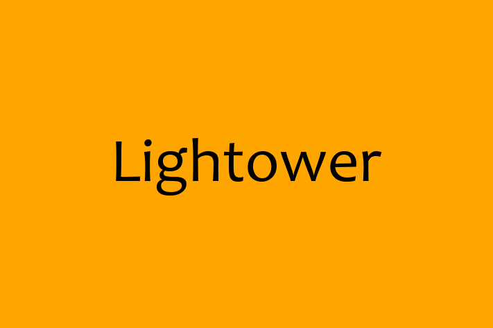 Software Consultancy Lightower