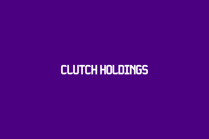 Software Consultancy Clutch Holdings