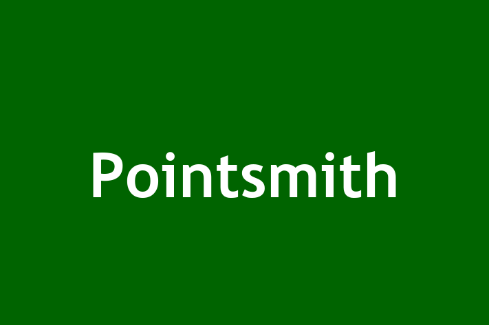 Software Development Firm Pointsmith